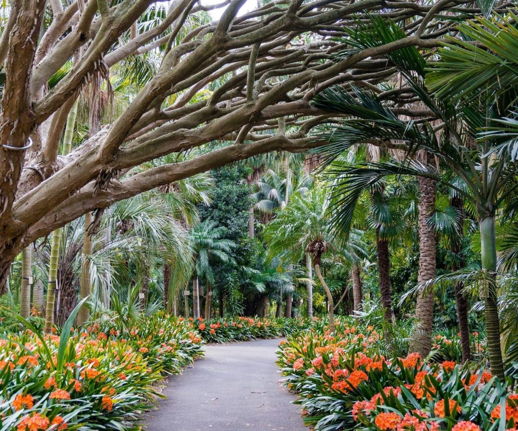 Wollongong Botanical Gardens