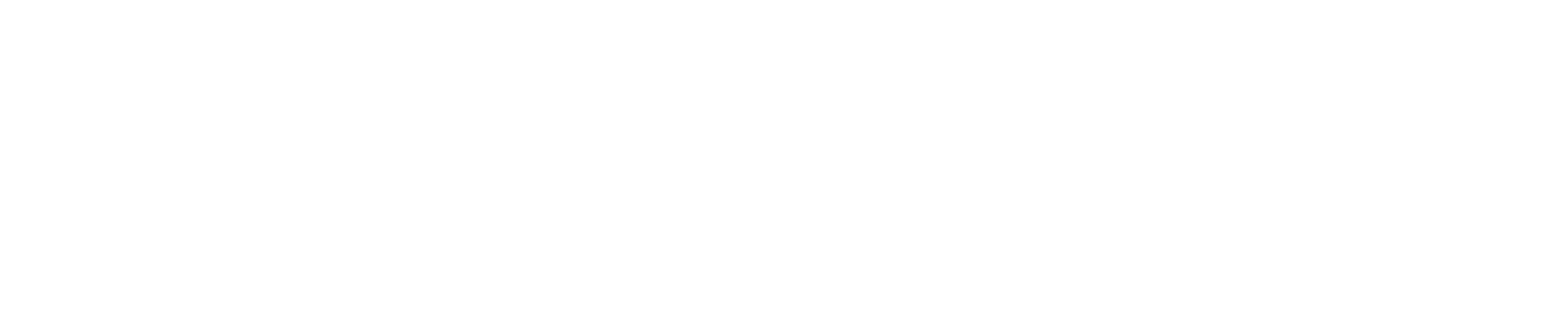 Biz Sites Logo